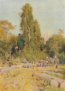 Éléphants empilant du teck, 1924 - Unbekannt