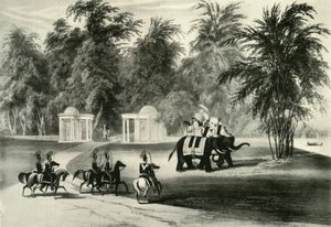 Éléphants et garde du corps dans le parc de Barrackpore, 1820, 1925 - Unbekannt