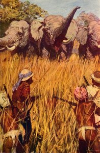 Éléphants en chasse, vers 1850 vers 1912 - Unbekannt