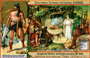 Épisodes de l