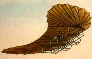 Planeur Zanonia d