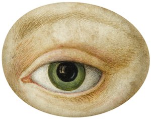 Œil