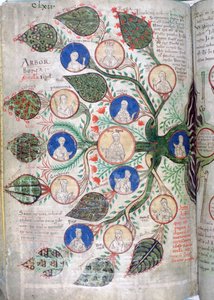 Arbre généalogique, une page du Liber Floridus, 12e siècle - Unbekannt