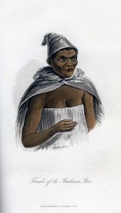 Femme de la race Bushman, 1848 - Unbekannt