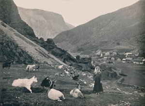 Flaam, 1914 - Unbekannt