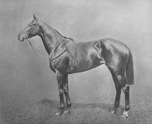 Flair, 1911 - Unbekannt