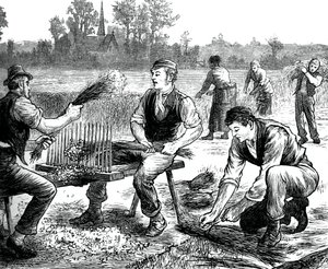 Égrenage du lin, vers 1880 - Unbekannt