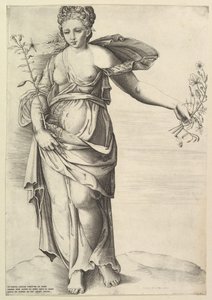Flore - Unbekannt