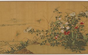 Fleurs, plantes et insectes