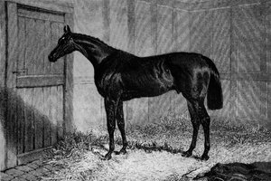 Foig-A-Ballagh, vers 1841-1860, 1911 - Unbekannt