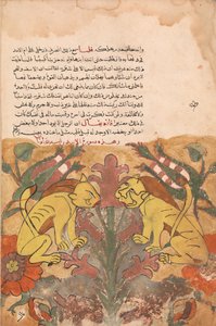 Folio d