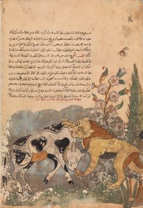 Folio d