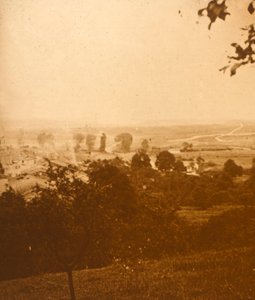 Forêt d
