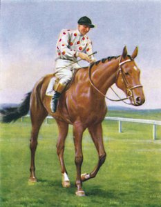 Foxbrough II, Jockey : P. Beasley, 1939 - Unbekannt