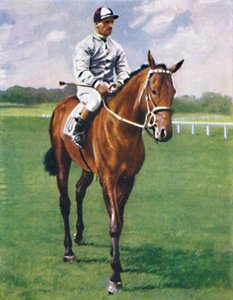 Foxglove II. Jockey: G. Richards, 1939 - Unbekannt
