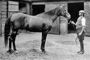 Foxhall, 1880-1904, 1911 - Unbekannt