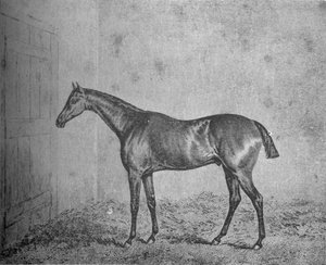 Frédéric, 1826-1837, 1911 - Unbekannt