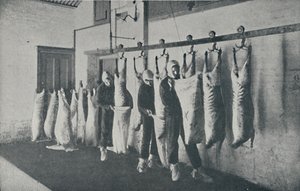 Viande congelée, 1910 - Unbekannt