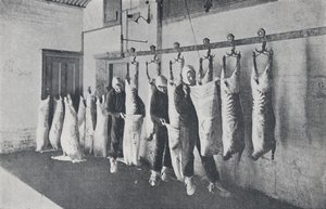 Viande congelée, 1923 - Unbekannt