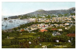 Funchal, Madère, début du 20ème siècle - Unbekannt