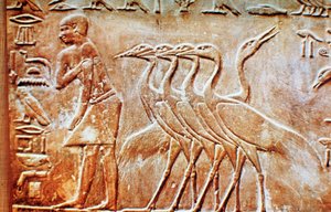Oies, bas-relief du tombeau de Ptahhotep, Saqqarah, Égypte, 24e siècle av. J.-C. - Unbekannt