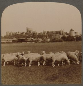 Vue générale du château de Windsor, Angleterre, 1896 - Unbekannt