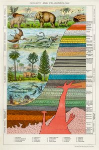 Géologie et Paléontologie