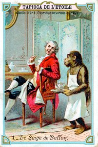George-Louis Leclerc, Comte de Buffon, naturaliste français du 18e siècle, vers 1890 - Unbekannt