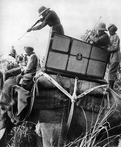 George V chassant des tigres, Inde, 1911