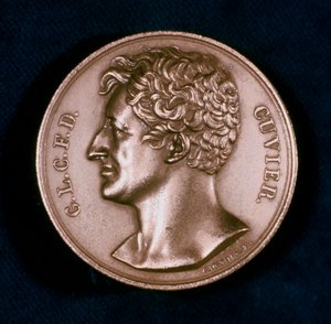 Georges Léopold Chrétien Frédéric Dagobert, Baron Cuvier, anatomiste français, 19ème siècle