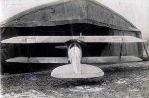 Albatros DV allemand, Souilly, France, 2 janvier 1918 - Unbekannt