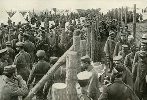 Prisonniers allemands entrant dans les cages, 1919 - Unbekannt