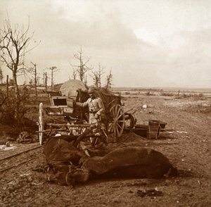 Véhicule hippomobile allemand, Tahure, nord de la France, vers 1914-1918 - Unbekannt