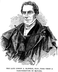 Gideon Algernon Mantell, géologue anglais