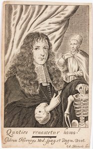 Gideon Harvey, médecin anglais - Unbekannt