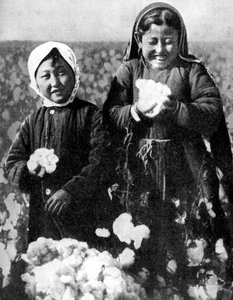 Filles dans un champ de coton, Kazakhstan - Unbekannt