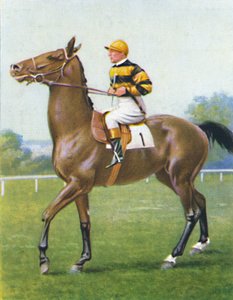 Golden Sovereign, Jockey : T. Weston, 1939 - Unbekannt