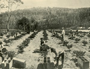 Ferme de Groseilles, Glenbrook, 1901 - Unbekannt