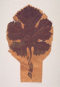 Feuille de vigne d