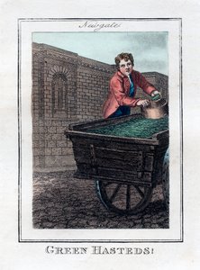 Green Hasteds, Newgate, Londres, 1805 - Unbekannt