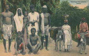 Salutations de la Jamaïque. Coolies, début 20e siècle - Unbekannt