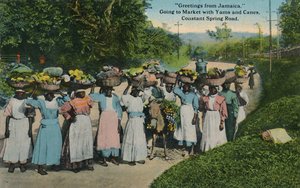 Salutations de la Jamaïque. Aller au marché avec des ignames et des cannes. Constant Spring Road, 1913 - Unbekannt