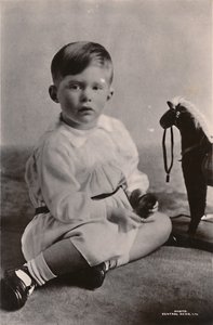 Le fils aîné de S.A.R. la princesse Mary, l