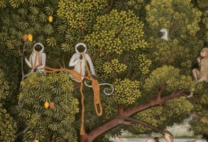 Hanuman-Languren miniature indienne