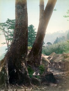 Hata sur la route de Hakone, Japon, début du XXe siècle - Unbekannt
