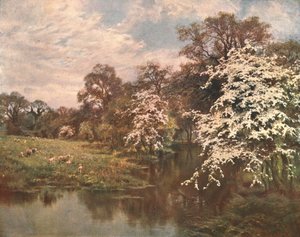 Fleurs d