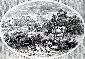 En-tête par Thomas Bewick