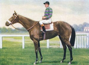 Helleniqua, jockey : B. Guimard, 1939 - Unbekannt