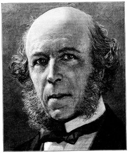 Herbert Spencer, philosophe et sociologue anglais, 1897 - Unbekannt