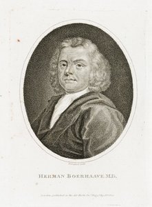 Herman Boerhaave, médecin, chimiste et botaniste néerlandais, début du XVIIIe siècle - Unbekannt
